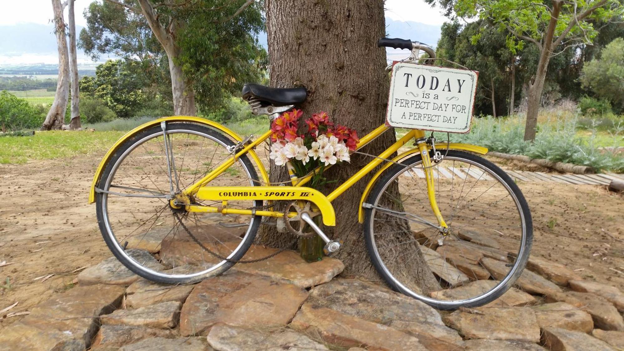 Oudekloof Wine Estate Villa Tulbagh Eksteriør bilde